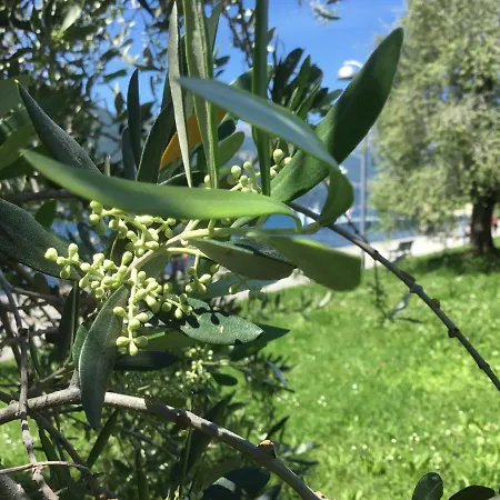 Comolakehome A Due Passi Dal Dervio