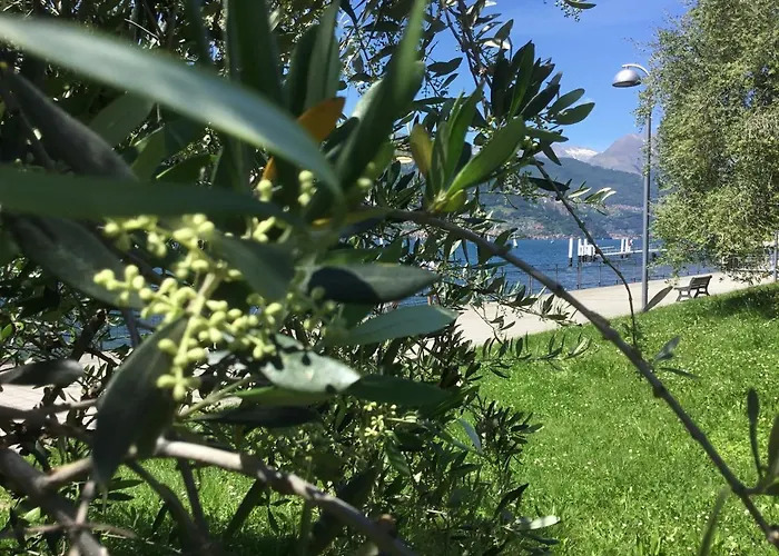 Apartment Comolakehome A Due Passi Dal *